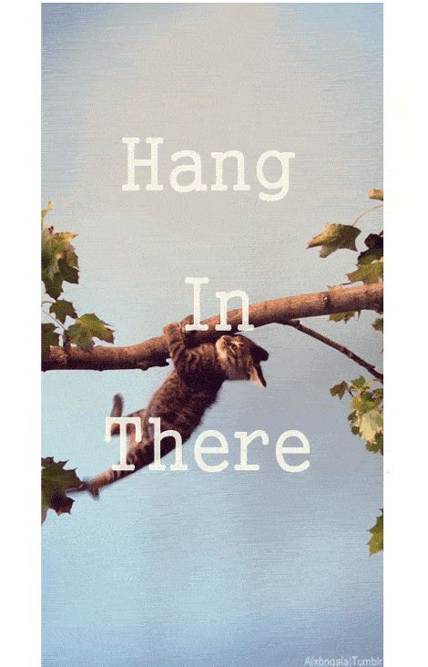 hang in there gif